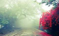 雨花区代云电讯有限公司